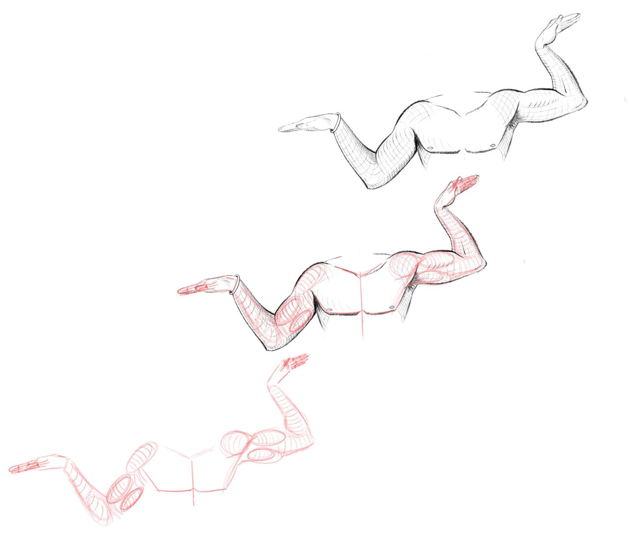 Arm construction study reaching across the page