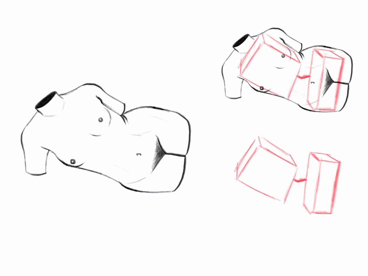 Reclining torso study with box construction