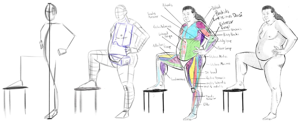 Four-stage build-up of a figure with one foot on a stool, with labeled muscle groups