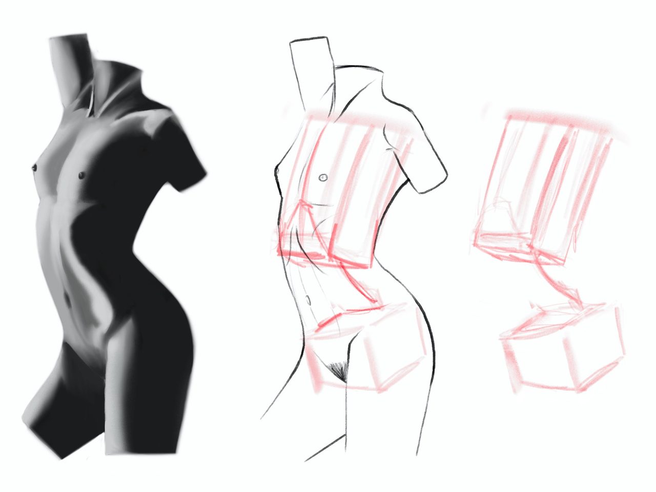 Standing torso study, rendered and in box construction